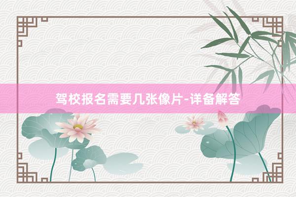 驾校报名需要几张像片-详备解答