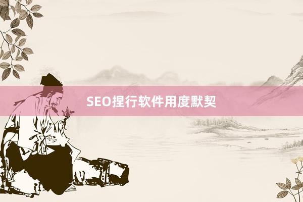 SEO捏行软件用度默契