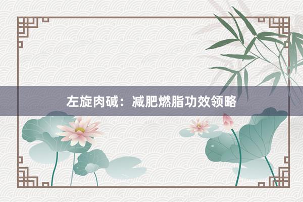 左旋肉碱：减肥燃脂功效领略